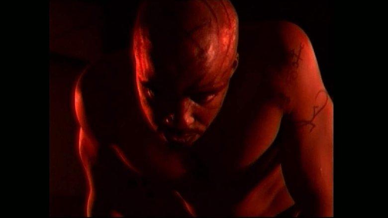 Severed image