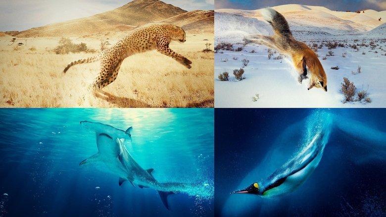 A Year on Planet Earth image