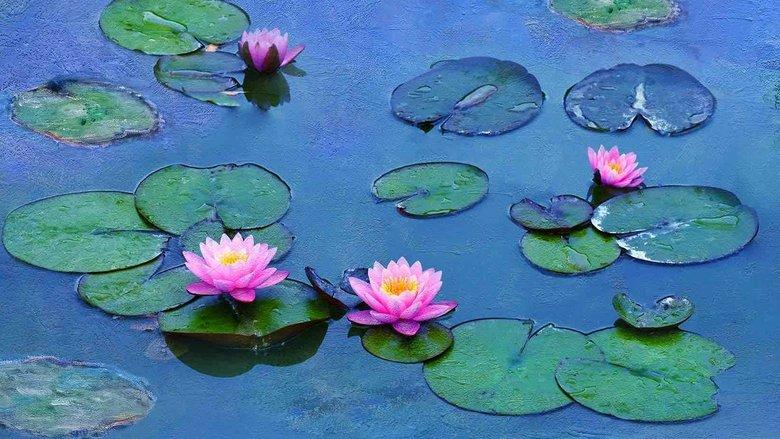 Water Lilies by Monet image