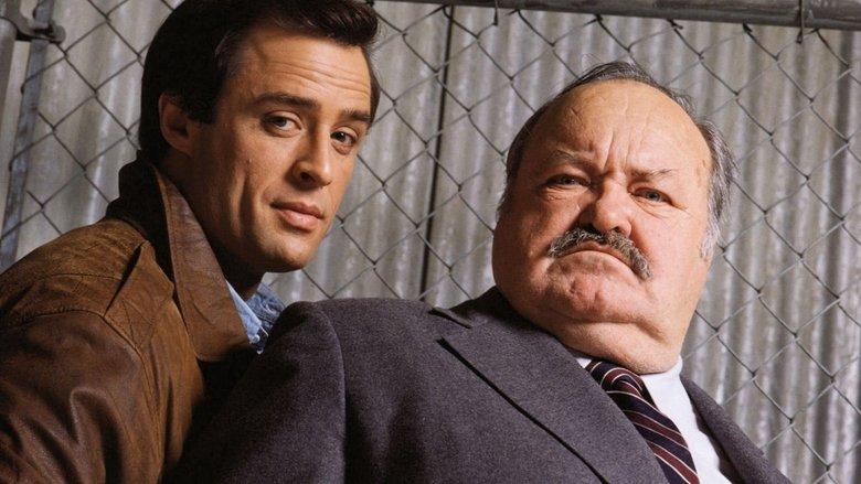 Jake and the Fatman image