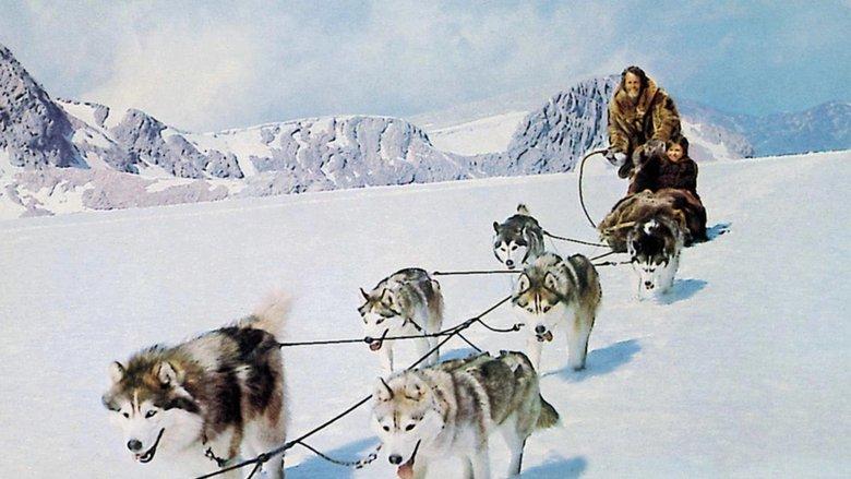Hell Hounds of Alaska image