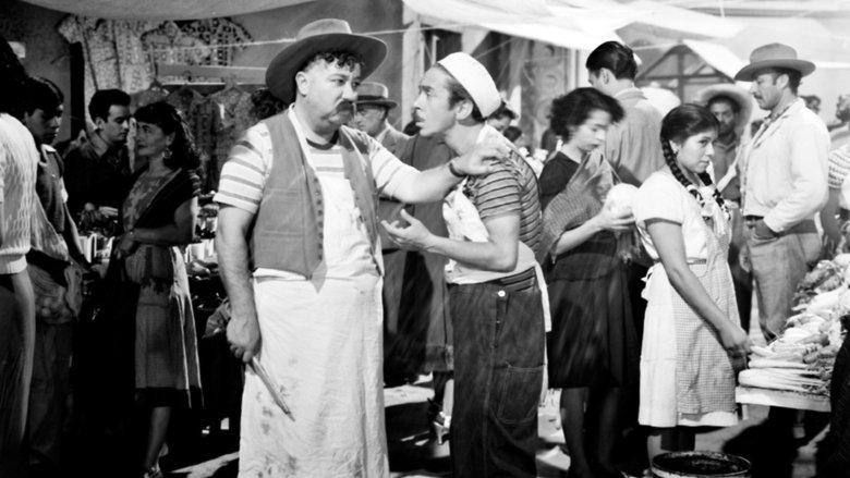 Una gallega en México image