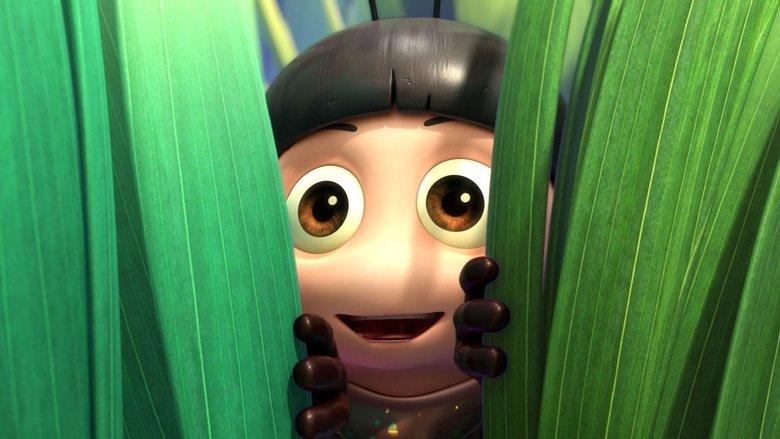 The Ladybug image