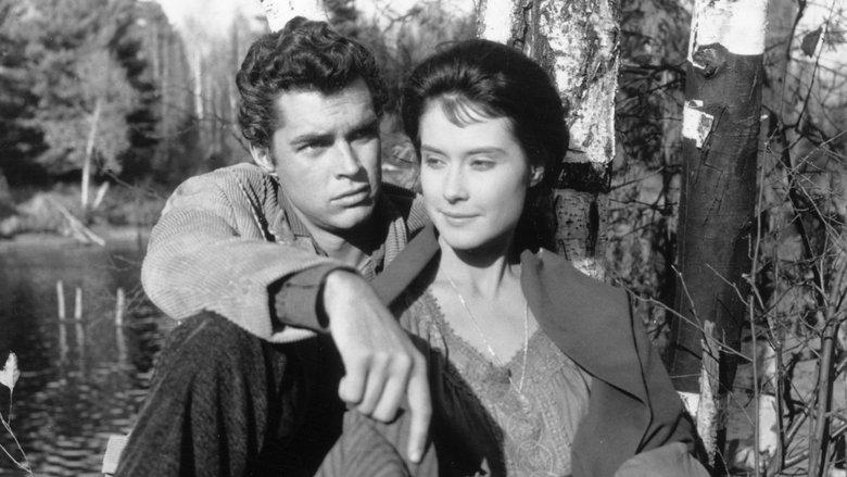 Hemingway’s Adventures of a Young Man image