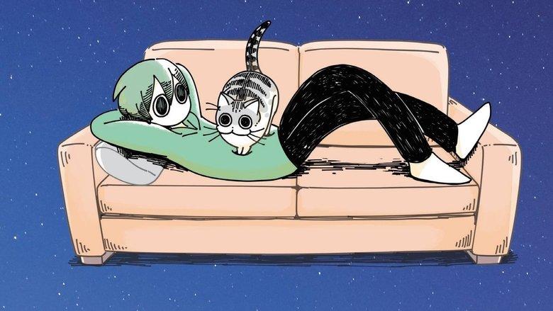 Nights with a Cat image
