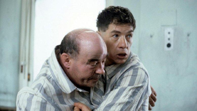 Walter image