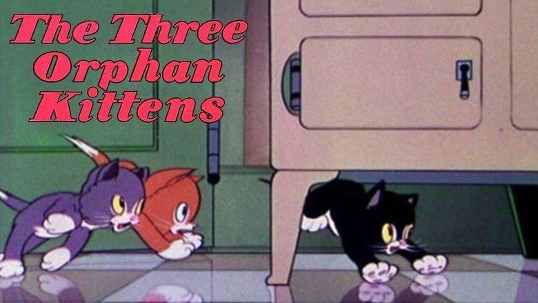 Three Orphan Kittens image
