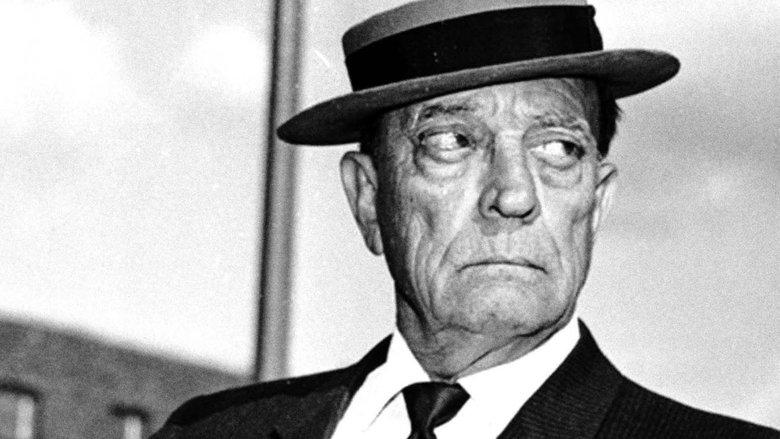 Buster Keaton Rides Again image