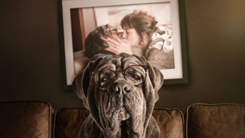 My Dog Stupid image
