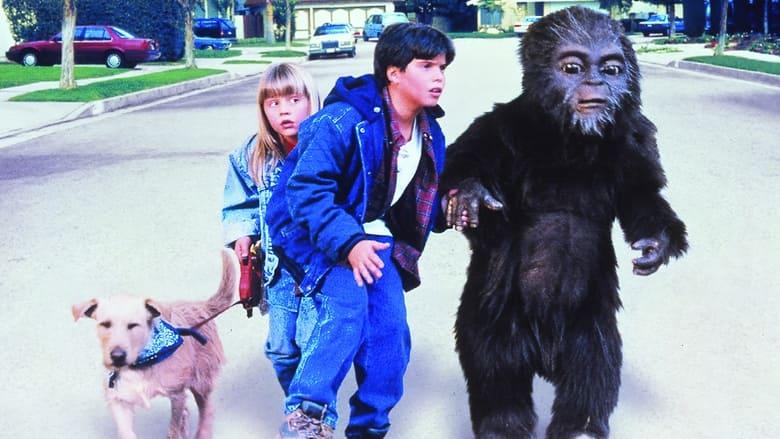 Little Bigfoot image
