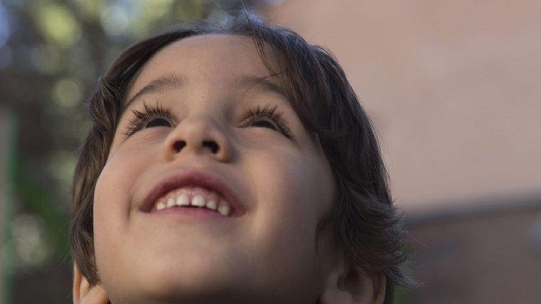 The Boy Who Wanted to Fly image