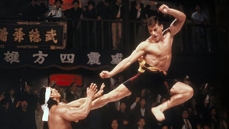 Bloodsport image