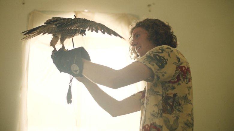 The Falconer image