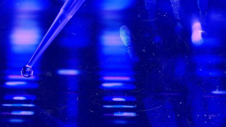 Forensic Files II image