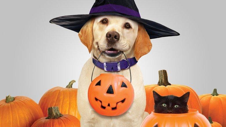 The Dog Who Saved Halloween image
