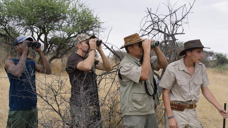 Safari image