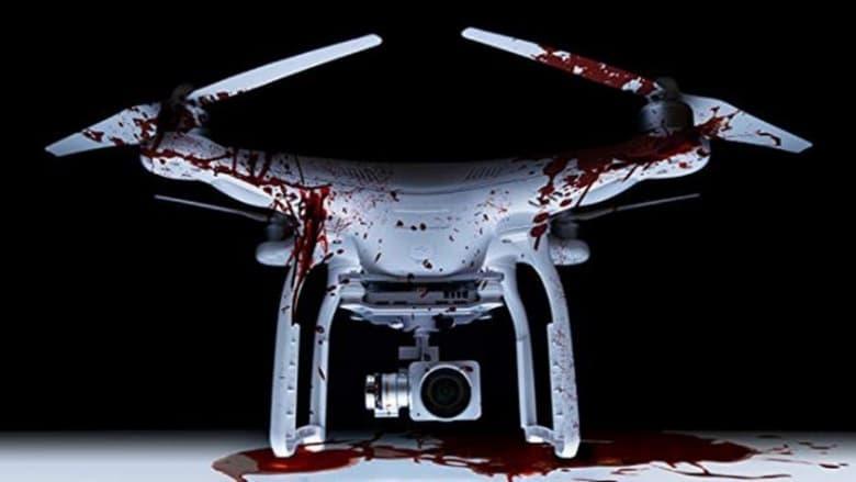 The Drone image