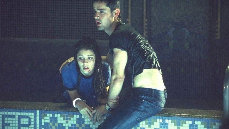 Swimfan image