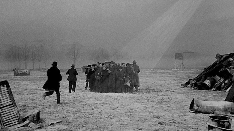 Miracle in Milan image