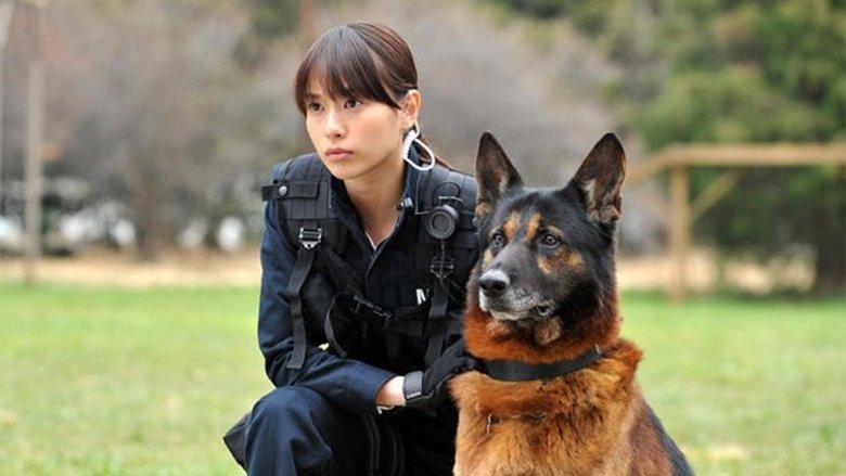 Dog × Police: The K-9 Force image