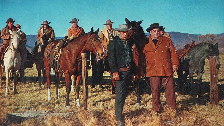 Cattle King image