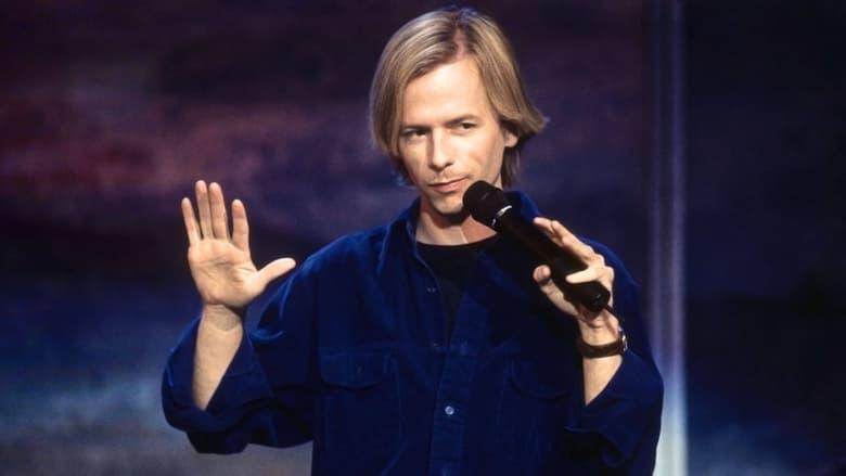David Spade: Take the Hit image