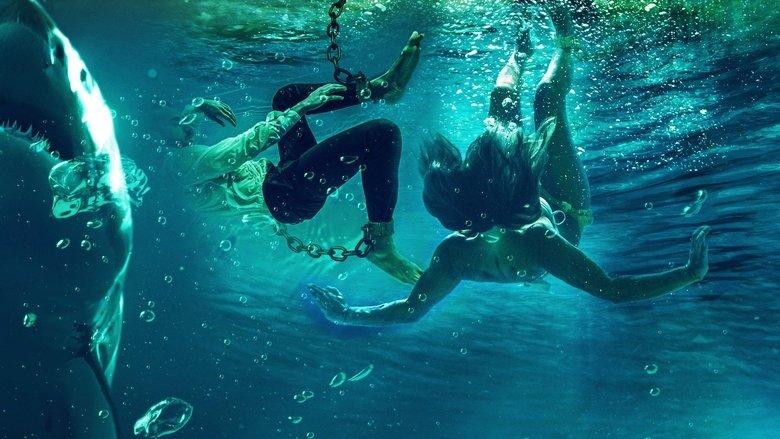 Blood in the Water image