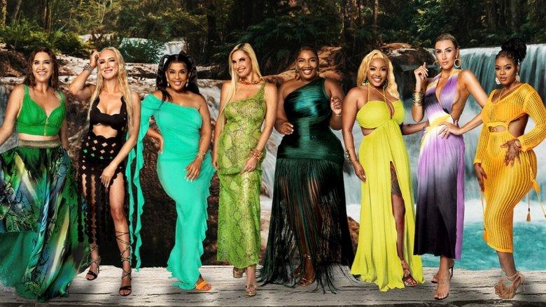 The Real Housewives Ultimate Girls Trip - South Africa image
