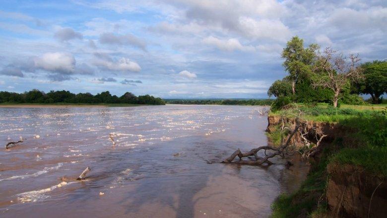 Africa River Wild image
