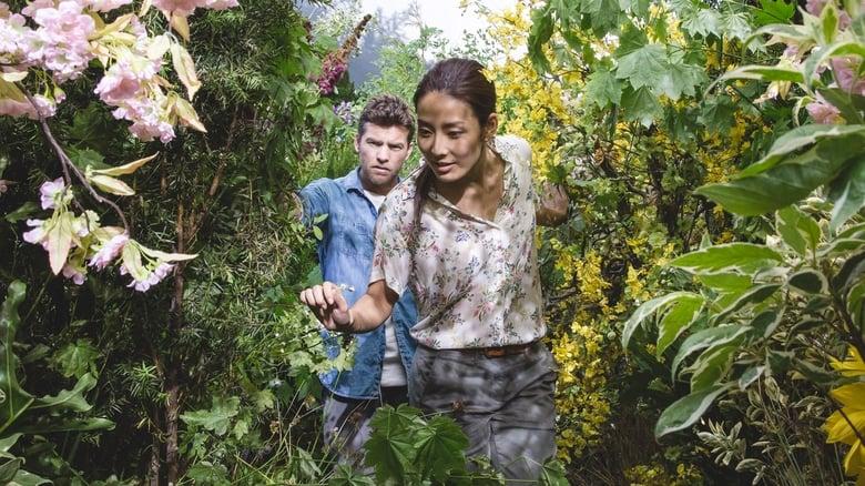 The Shack image