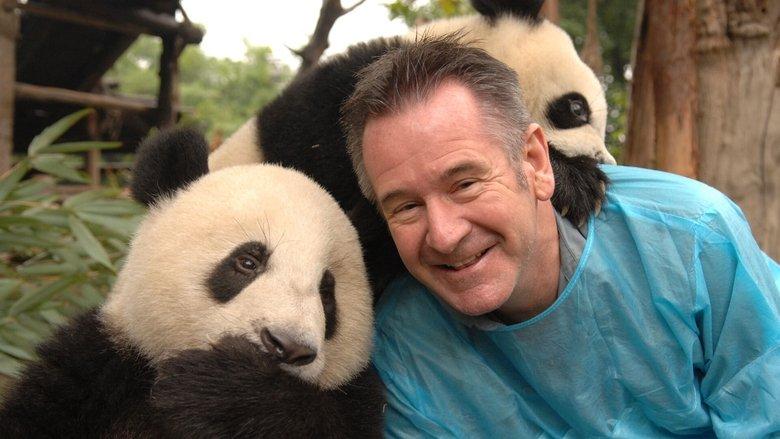 Panda Adventure with Nigel Marven image