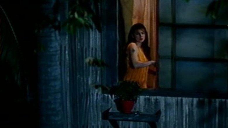Woman by the Window image