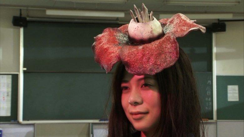 Hana-Dama image