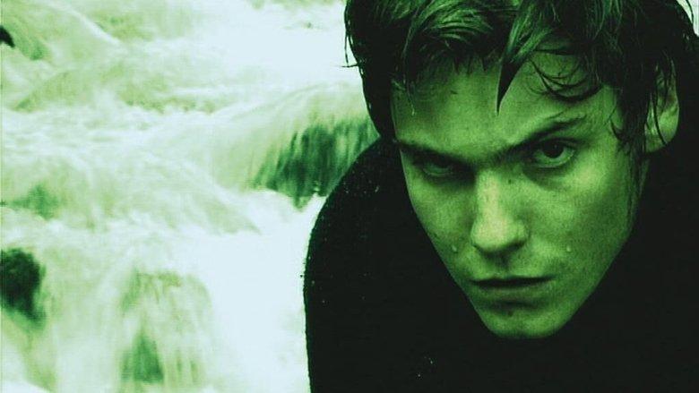The White Sound image