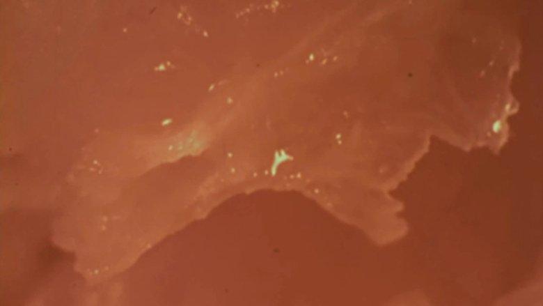 Orange image