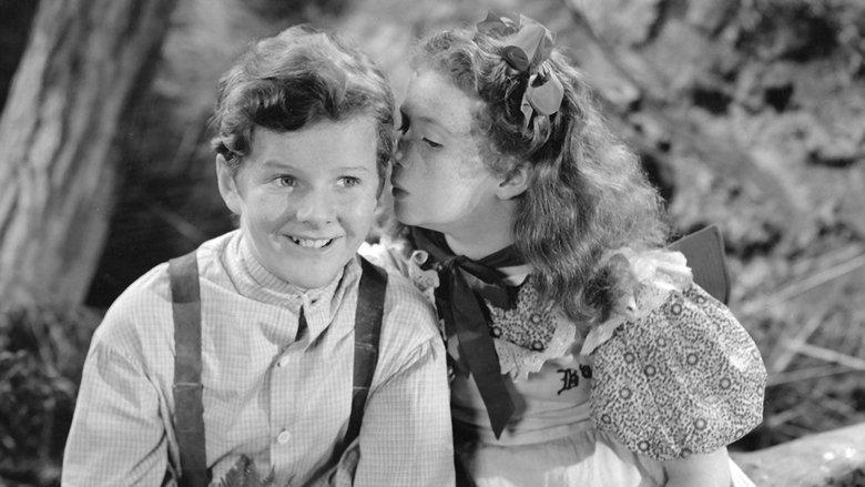 The Adventures of Tom Sawyer image