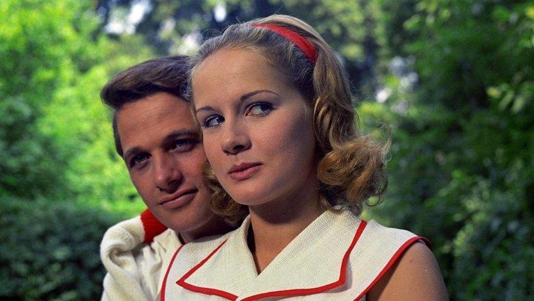 The Garden of the Finzi-Continis image