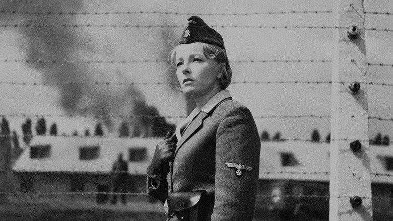 Passenger image
