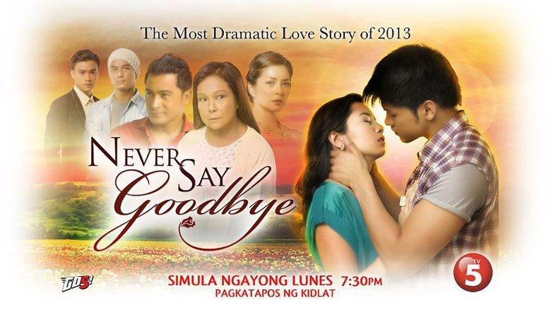 Never Say Goodbye image