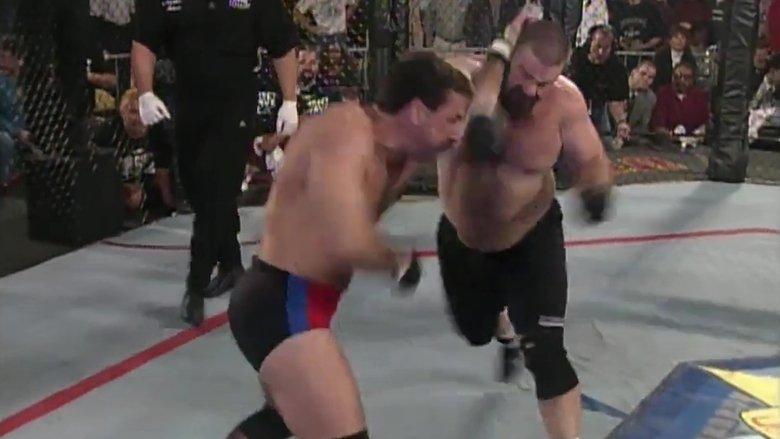 UFC 11.5: Ultimate Ultimate 2 image