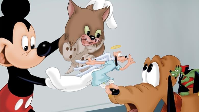 Lend a Paw image