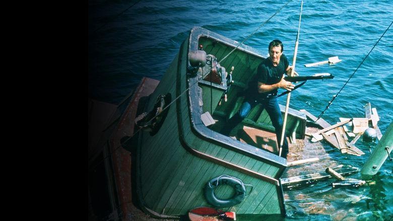 Jaws image