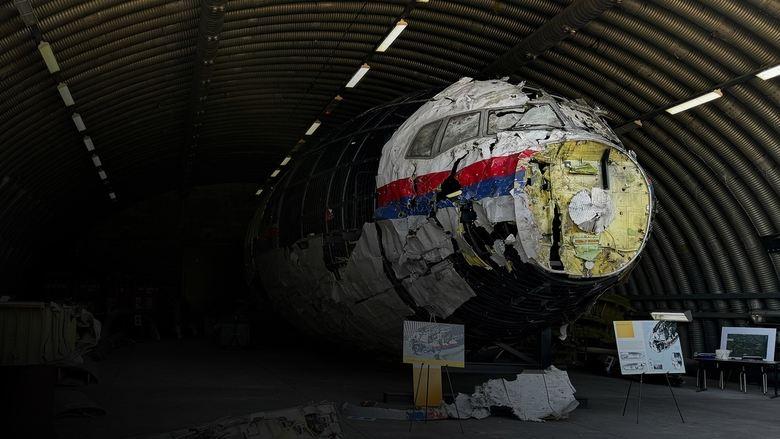 Murder In The Skies: Who Downed Mh17? image