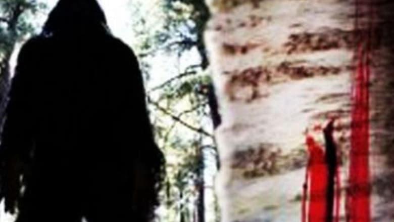 Sasquatch Mountain image