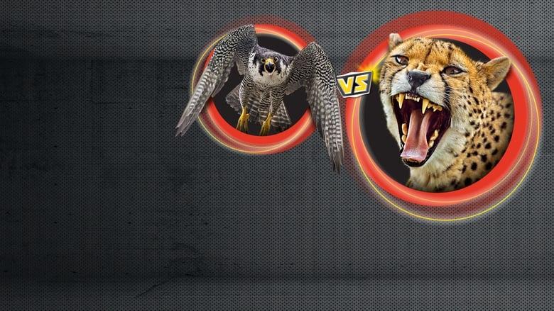 Animal Showdown image