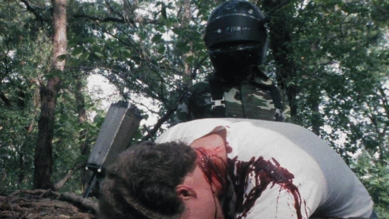 The Nail Gun Massacre image
