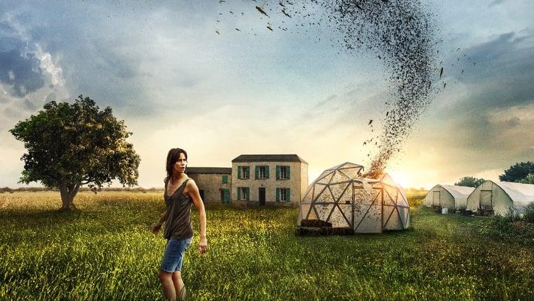 The Swarm image