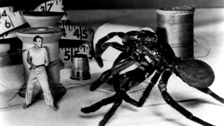 The Incredible Shrinking Man image