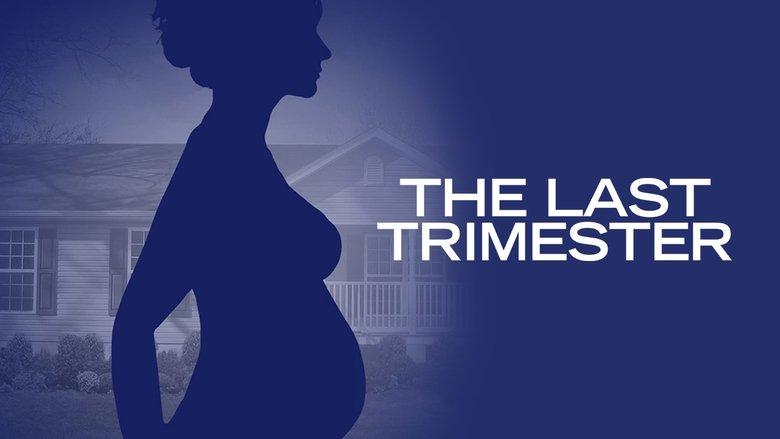 The Last Trimester image
