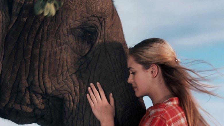 Sophie & Sheba image